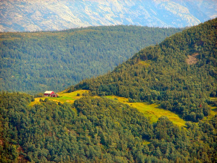 DSC07216VelfjordFjellgaard.JPG