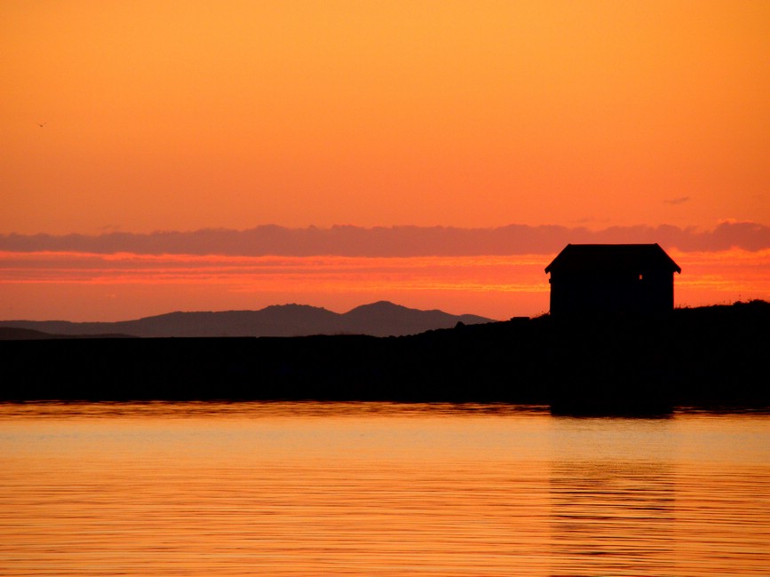 DSC03875BrsundSommersund.JPG