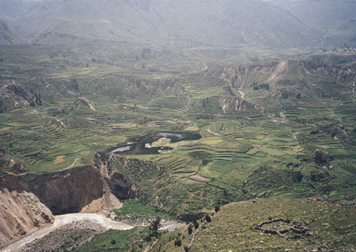 Terraces,
everywhere