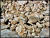 05763FishRiverCanyonUsynligOegle.JPG