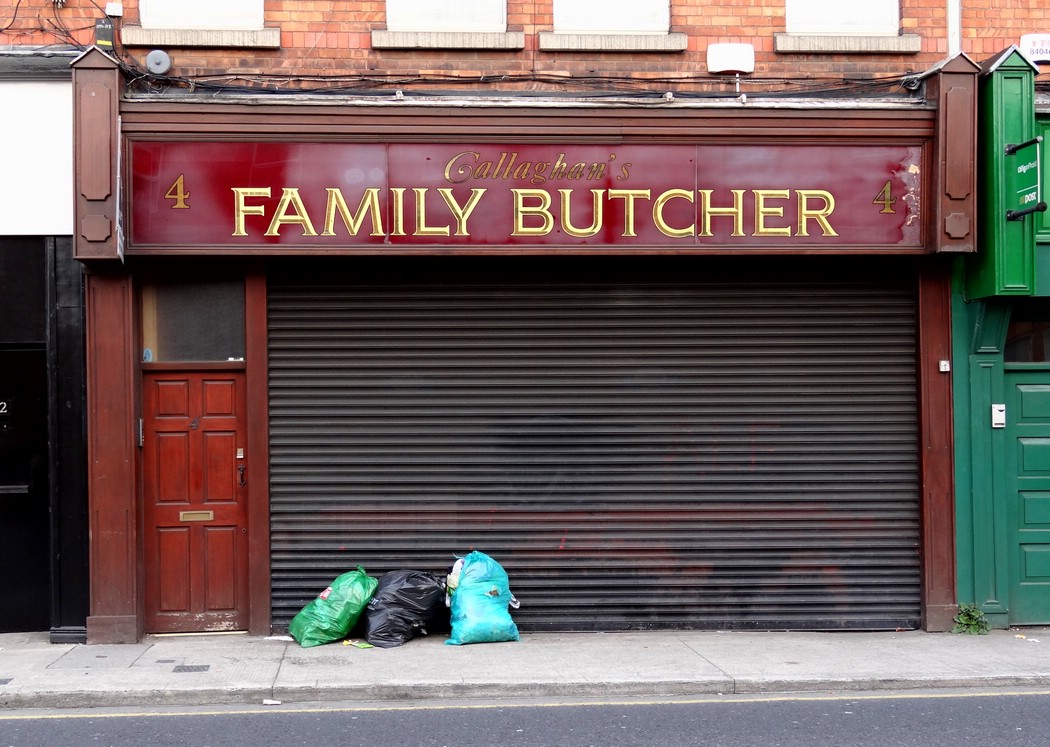 DSC08376DublinSkummeltSted.JPG
