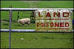 DSC08980KillaFarligTilvaerelse.JPG