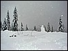 DSC03714.JPG