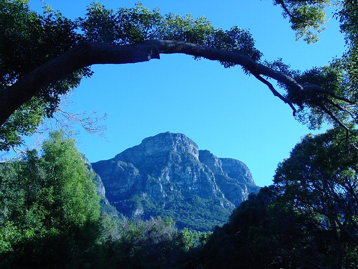 03984CapeTownKirstenboschMotSkeletonGorge.jpg