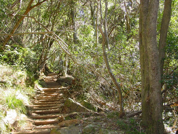 04006CapeTownSkeletonGorge.jpg