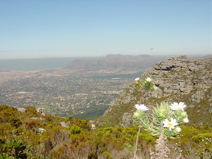 04012CapeTownTableMountainMotKapp.jpg