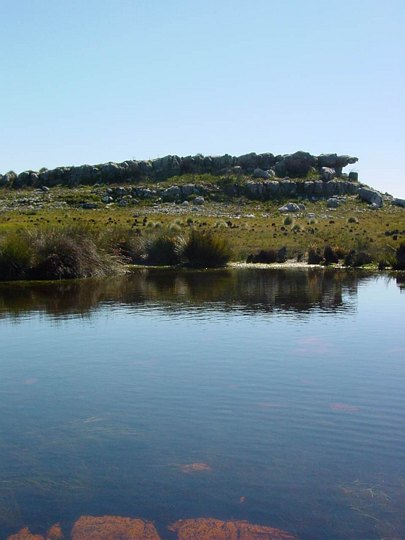 04022CapeTownFjellvannMedFrosk.jpg