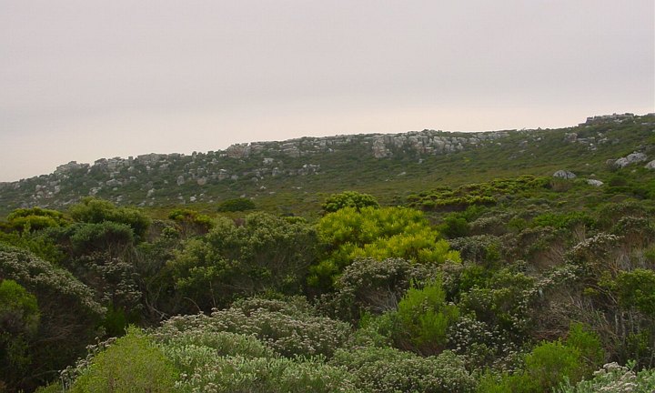 04116CapeFlottAaskam.jpg