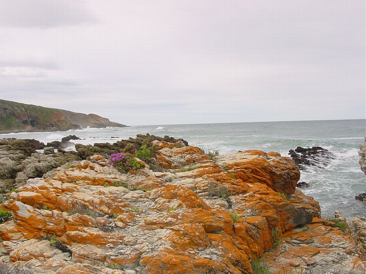 04191MosselBaaiOrangeFjell.jpg