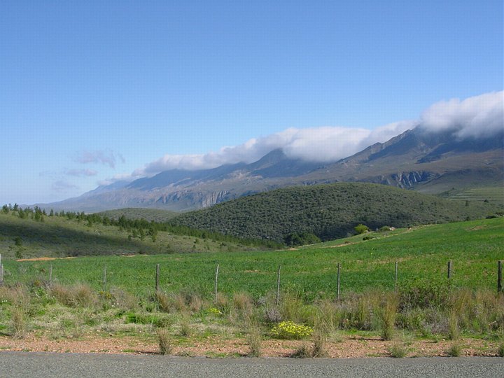 04257OudtshoornSkyerOverKaroo.jpg