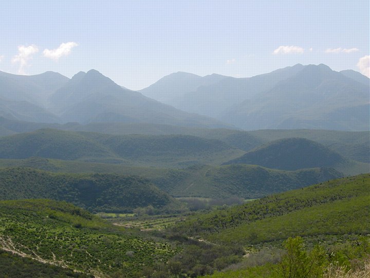 04261OudtshoornFrodigeFjell.jpg