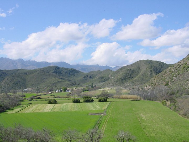 04283OudtshoornFineEnger.jpg
