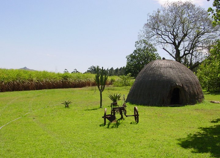 04956SwazilandLitenGaard.jpg