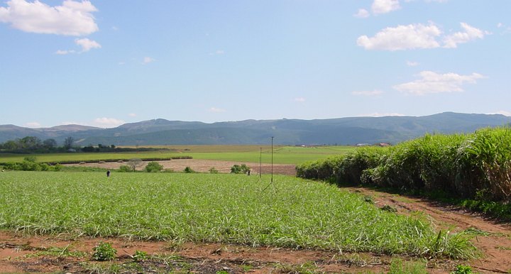 04962SwazilandSukkerroaaker.jpg