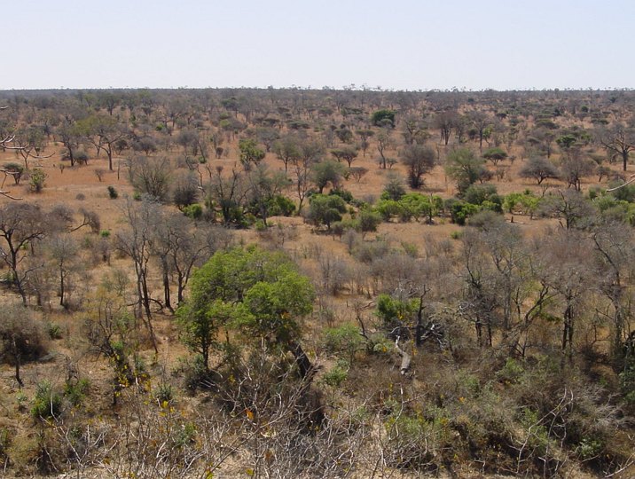 05180KrugerUtsiktspunkt.jpg