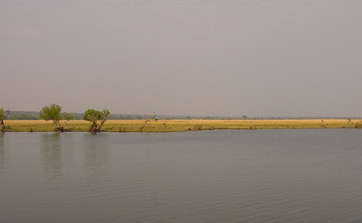 05429ChobeNamibiaErDerBorte.jpg