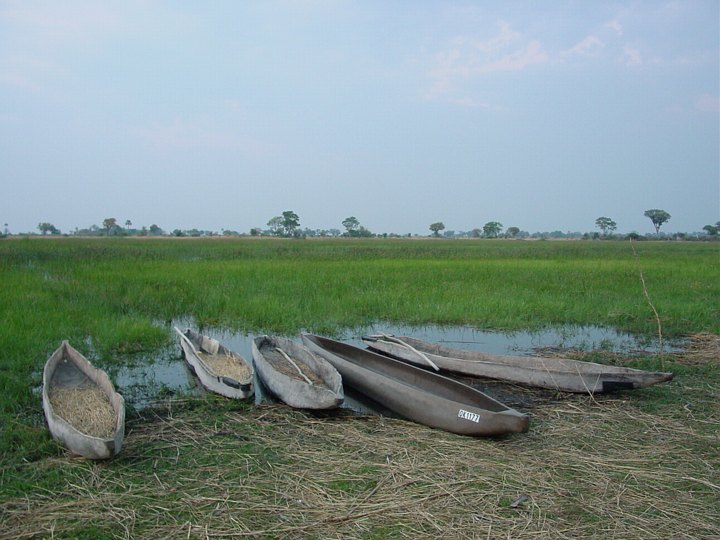 05462OkavangoMokoroflaaten.jpg