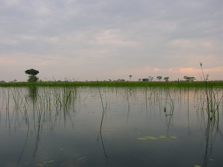 05499OkavangoTordenILufta.jpg