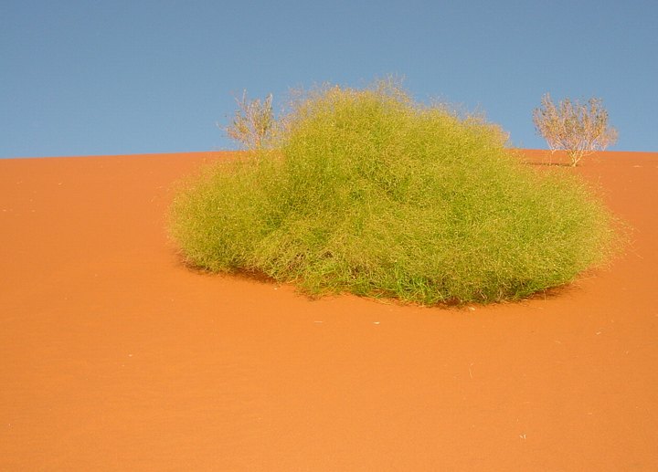 05610SossusvleiRGB2.jpg