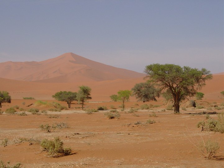 05624SossusvleiCrazyDune.jpg