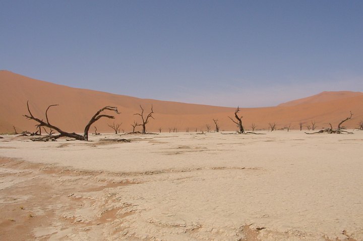 05629SossusvleiFlottVlei.jpg