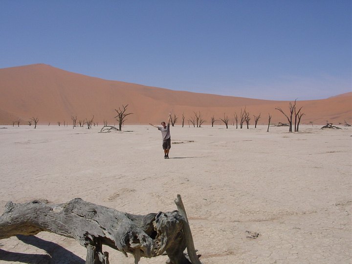 05632SossusvleiTreemulator.jpg