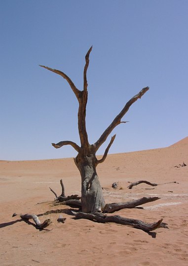 05633SossusvleiTypiskBilde.jpg