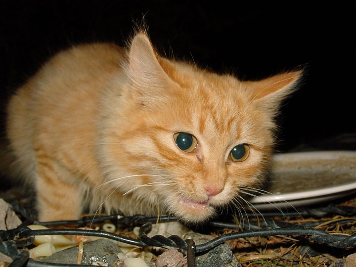 05741FishRiverCampkatt.jpg