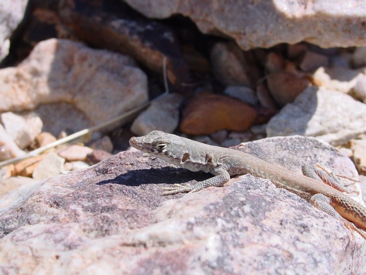 05758FishRiverCanyonKulFisle.jpg