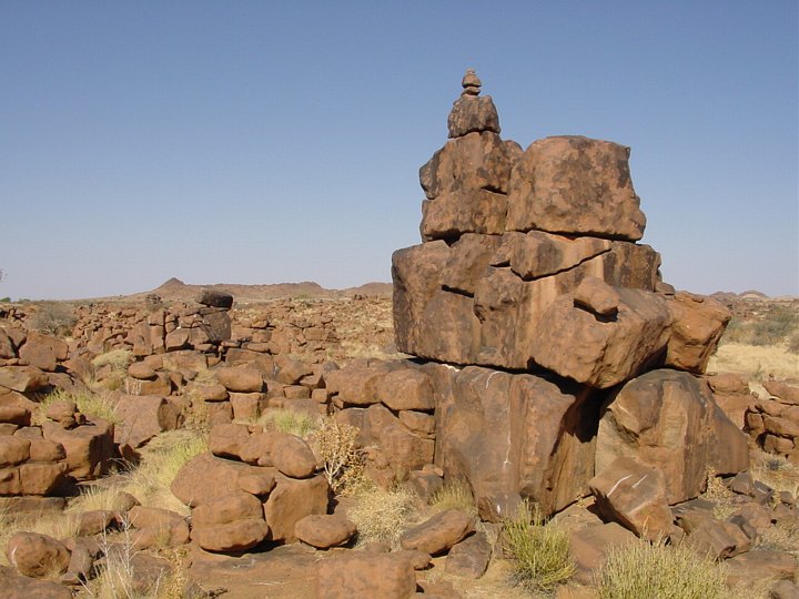05774GiantsPGFinSteinJa.jpg