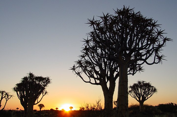 05818KokerboomwoudNestenBraSolnedgang.jpg