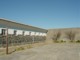 03951RobbenIslandMandela-luftegaard.jpg