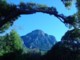 03984CapeTownKirstenboschMotSkeletonGorge.jpg
