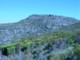 04014CapeTownTableMountainFynbos.jpg