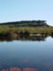 04022CapeTownFjellvannMedFrosk.jpg