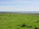 04645EasternCapeLandskap.jpg