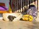05036SwazilandBackpackersSekkenMinOgEnHund.jpg
