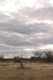05115TransfrontierNestenAapenbaring.jpg