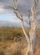 05120TransfrontierWalkingSafari.jpg