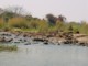 05338VicFallsRoligZambesibekk.jpg
