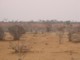 05421ChobeToerketid.jpg