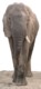 05427ChobeFiksaElefant.jpg