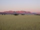 05583SesriemAyersRock-aktig.jpg