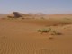 05617SossusvleiLittStarWars.jpg