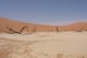 05629SossusvleiFlottVlei.jpg