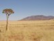 05648NamibiaRartTre.jpg