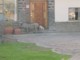 05803KokerboomwoudHusdyr.jpg