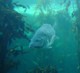 05933CapeTownTaremareby.jpg