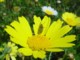 05962CapeTownSoendagsmorgenaction.jpg