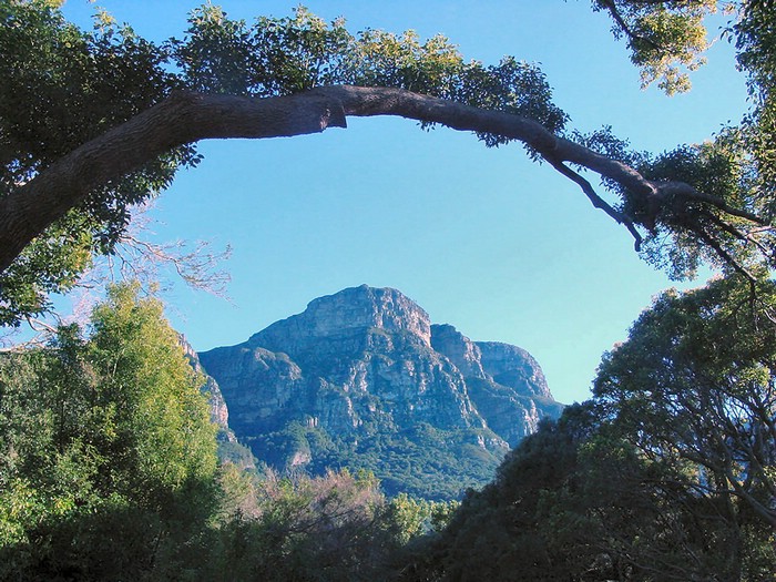 03984CapeTownKirstenboschMotSkeletonGorge.jpg